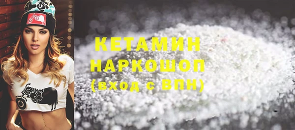 соль ск Новозыбков