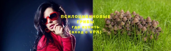 дистиллят марихуана Новодвинск