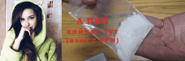 соль ск Новозыбков