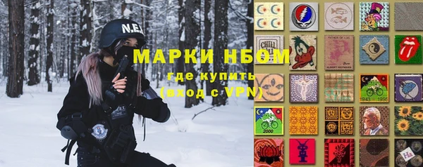 соль ск Новозыбков