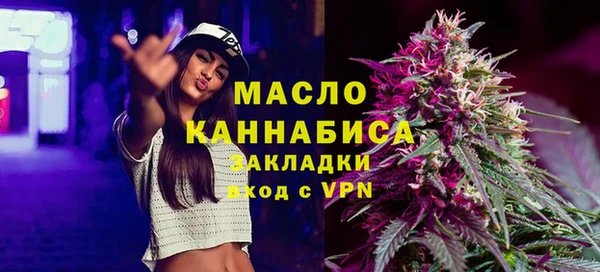 соль ск Новозыбков