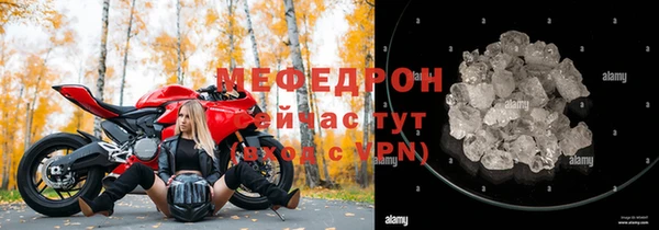 соль ск Новозыбков