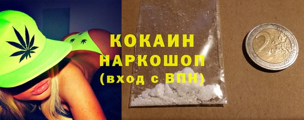 соль ск Новозыбков