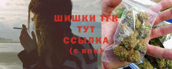 соль ск Новозыбков