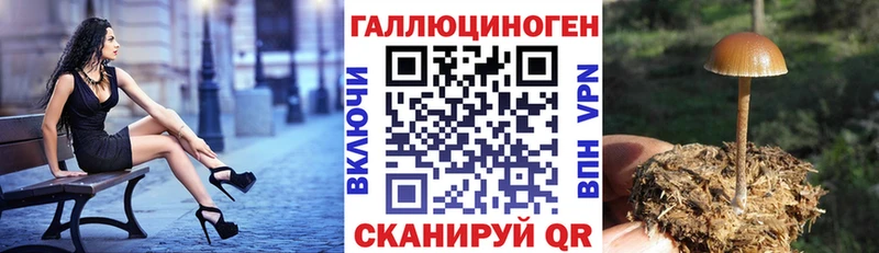 Псилоцибиновые грибы Magic Shrooms  Купить  Обь 